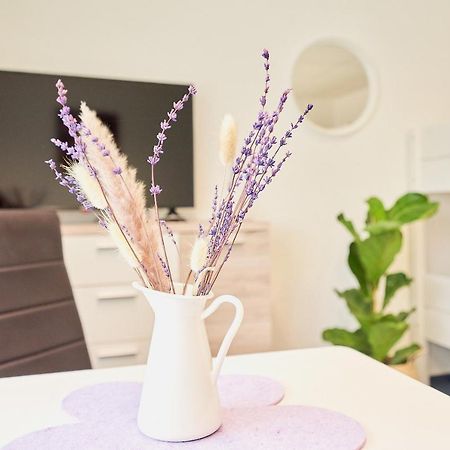 Landhotel Sonnenhof Ossig Εξωτερικό φωτογραφία